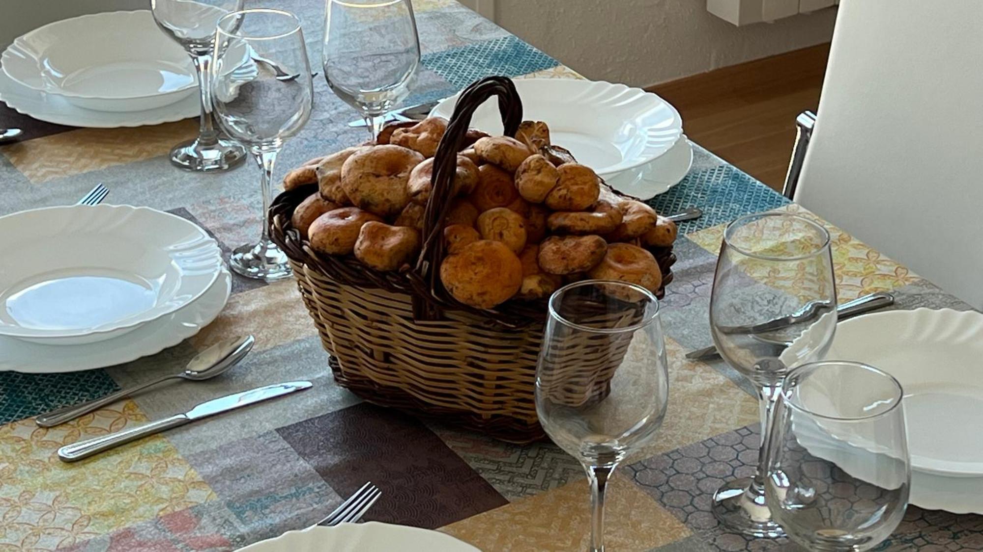 Apartament Acollidor Al Bergueda 6P Sant Jordi de Cercs Екстериор снимка